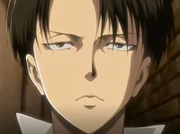 Levi Ackerman 
