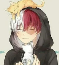 Shoto Todoroki 