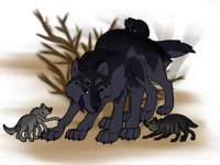 Spider-Wolf Family