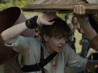 Newt