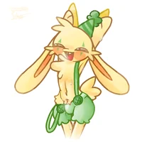 Bunnzo bunny