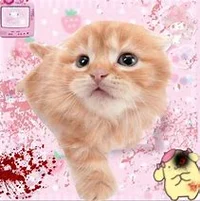 I know what you want