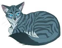Jayfeather