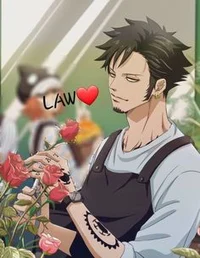 Law