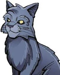 Graystripe