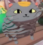 CAIT