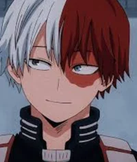 Shoto Todoroki 