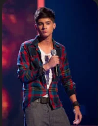 Zayn Malik 