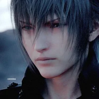 Noctis Lucis Caelum