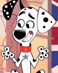 Dylan Dalmatian
