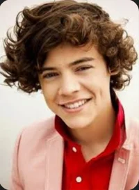 Harry Styles 