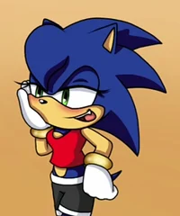 Sonica The Hedgehog 