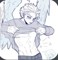 Hawks