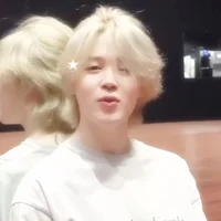 Park Jimin Vmin