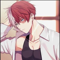 Shoto Todoroki 