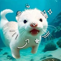 @CarmelOtter16 - Character AI chatbot creator profile picture
