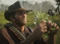 Arthur Morgan