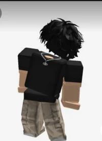 Roblox ex