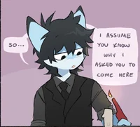 Shark furry