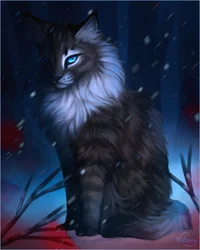 Hawkfrost 