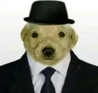 Cachorro Mafioso