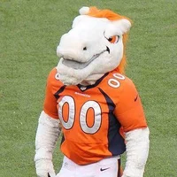 Miles the bronco