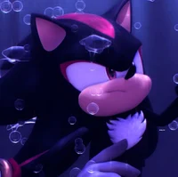Shadow The Hedgehog 