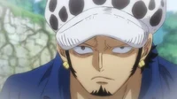 Trafalgar Law
