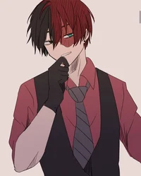 Shoto Todoroki