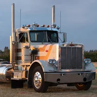 Peterbilt 359