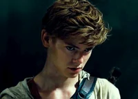 Newt