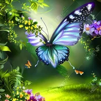 Conversation starter