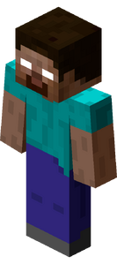 Herobrine magne