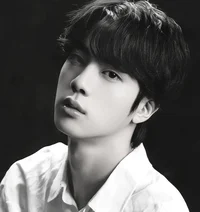 Seokjin 