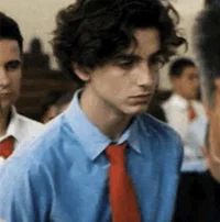 Timothée Chalamet 