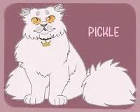 Pickle