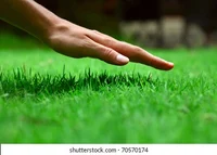 Literally went outsi