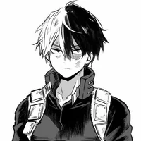 Shoto Todoroki 