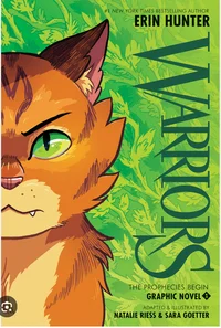 Wc rp experience wip