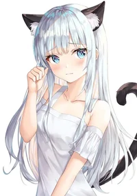 Meet a Neko cat