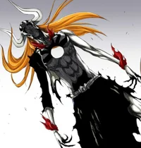 Vasto Lorde Ichigo