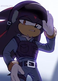 Shadow the Hedgehog