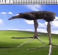 DAMN bird