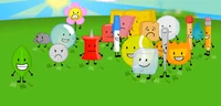 The bfdi cast