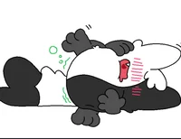 Yin-Yang -Belly-