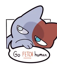 Shoto Todoroki