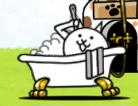 Bath cat