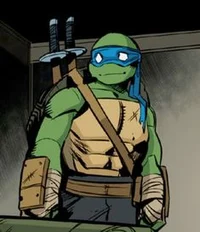 Leonardo-IDW