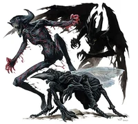 The Shadow Elements