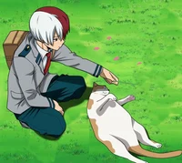 Shoto Todoroki_Cat